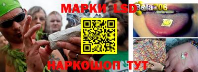 mdpv Белореченск
