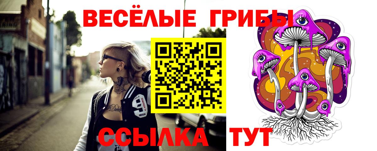 Псилоцибиновые грибы Psilocybine cubensis  Вход с VPN  Муром 